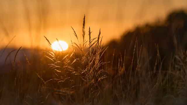 The day that distinguishes The day that distinguishes